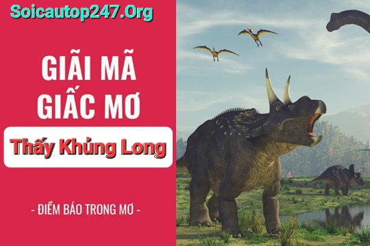soi cầu 1200