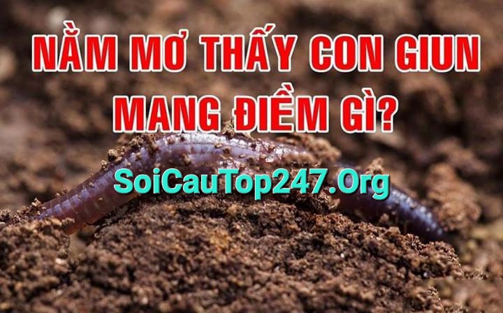 soi cầu 1200